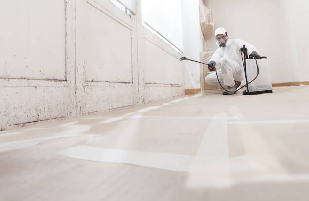 24/7 Emergency Mold Remediation experts in Catharpin, VA